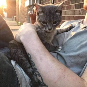 Meet your Posher, Johnny